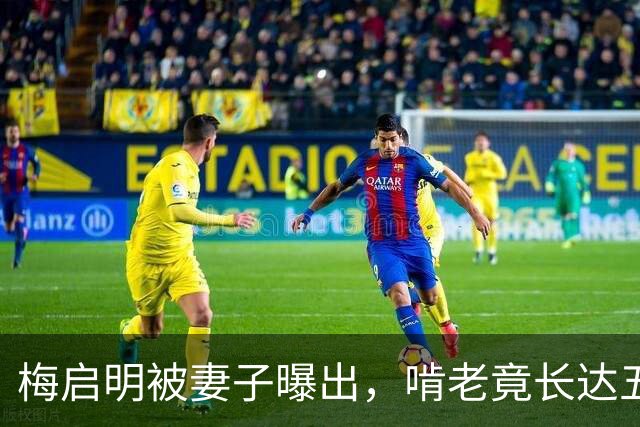 梅启明被妻子曝出，啃老竟长达五十年，还逼17岁儿子停学打工